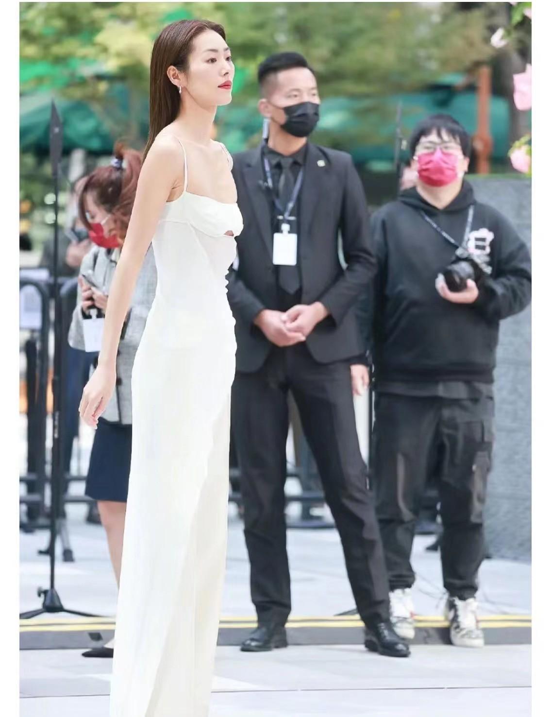 白鹿