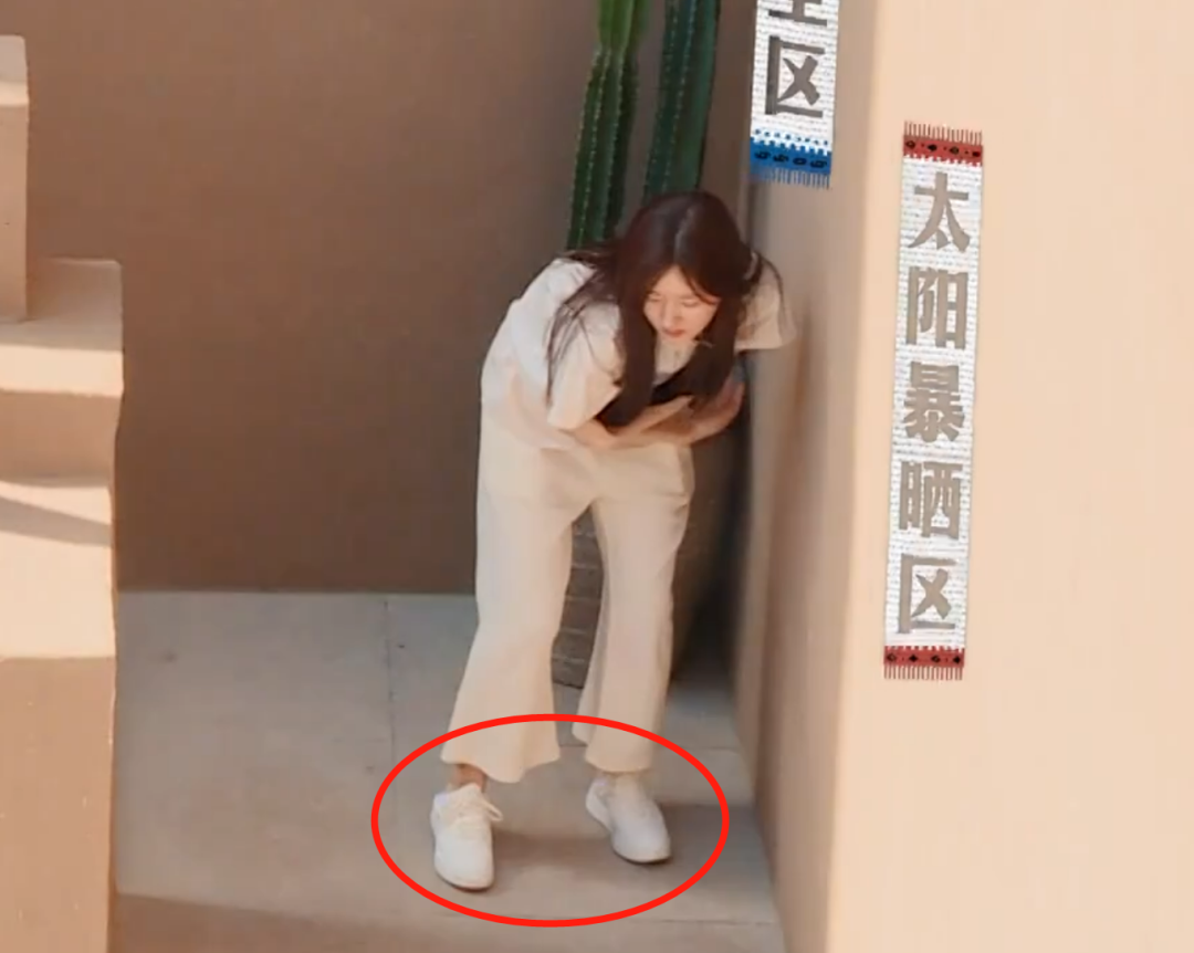 白鹿