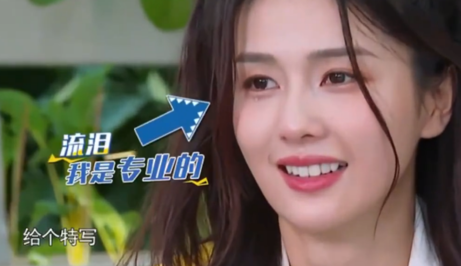白鹿