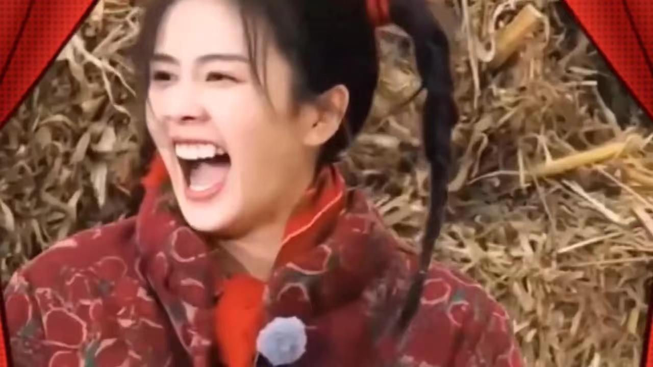 白鹿