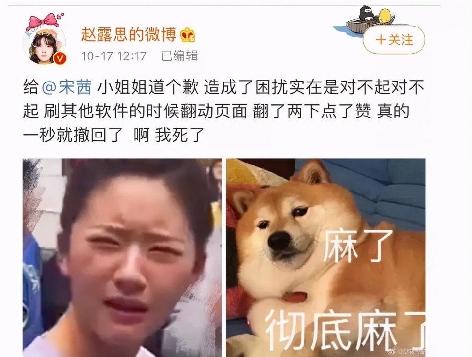 趙露思