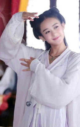 趙露思