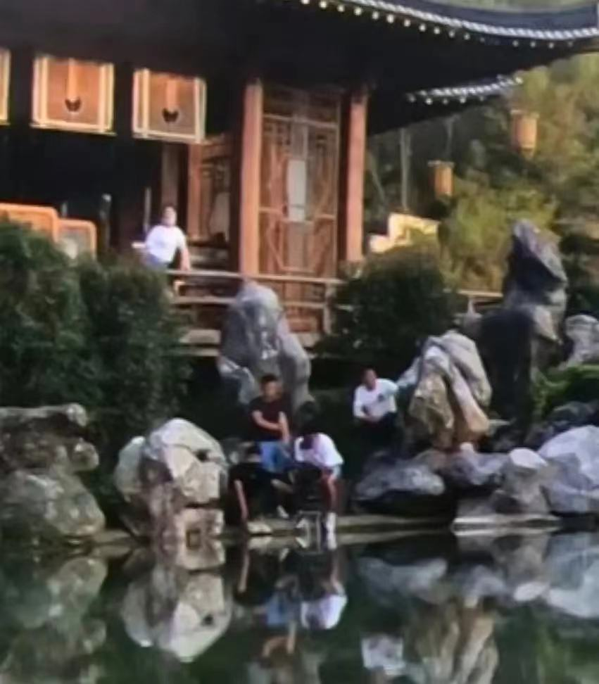 趙露思