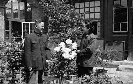 老捨