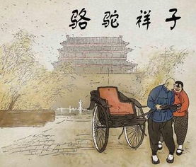老捨