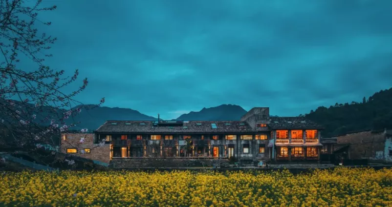 馮崙