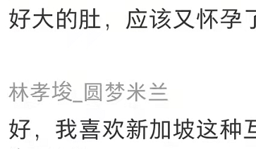 孫燕姿