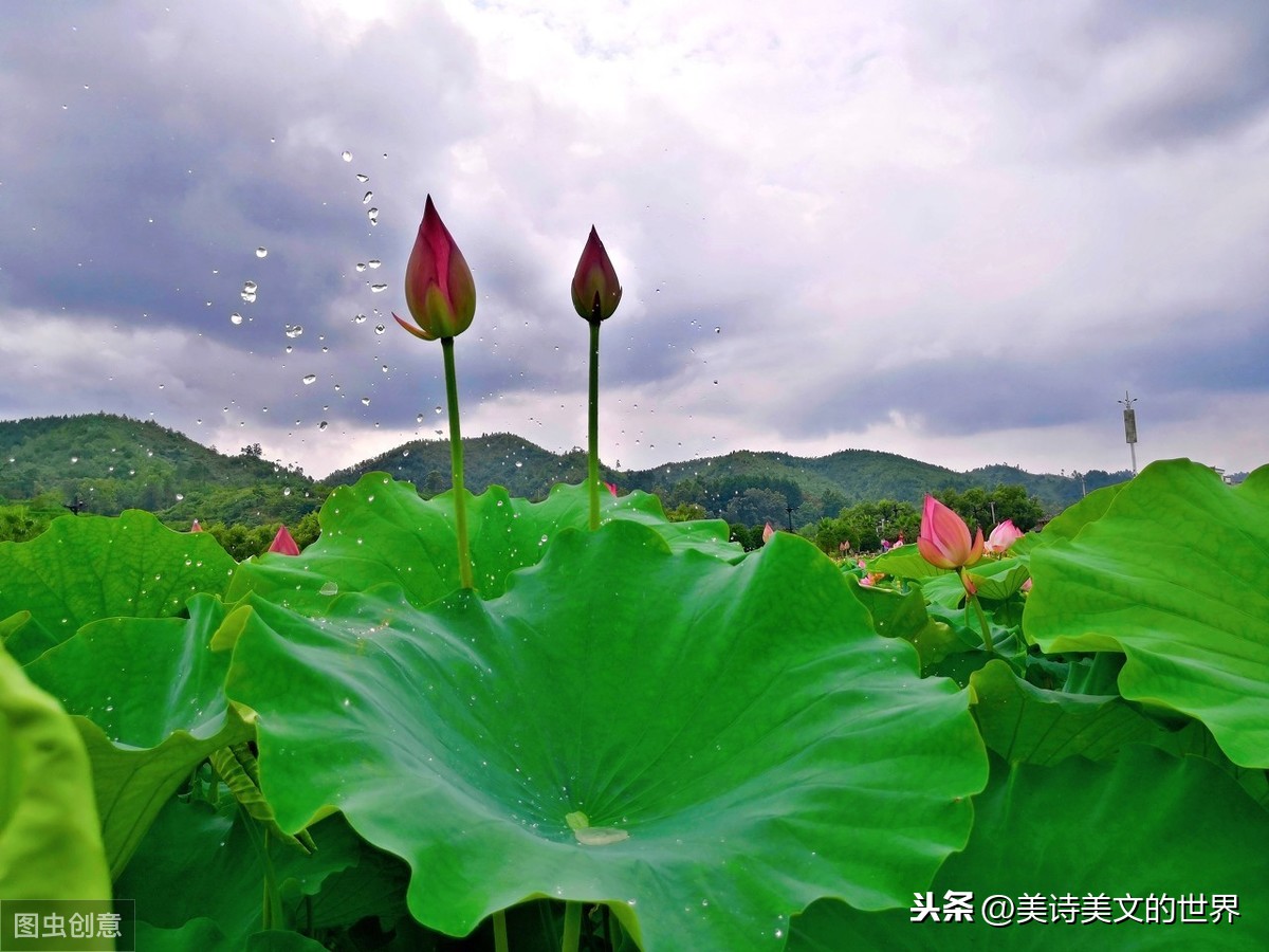 雷震宋