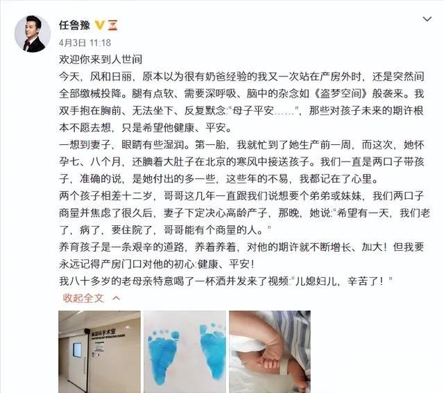 任魯豫