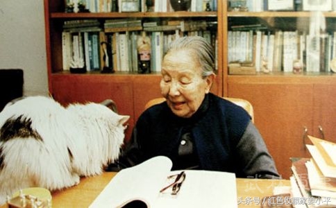 冰心