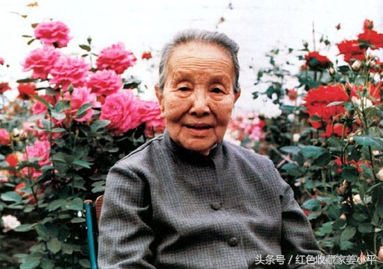 冰心