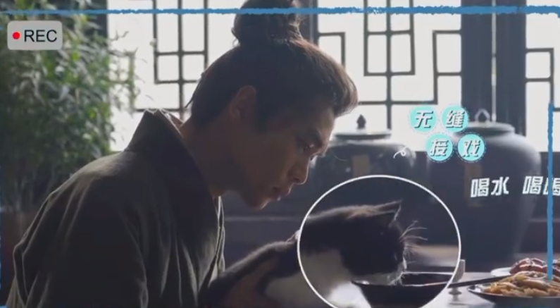 張若昀