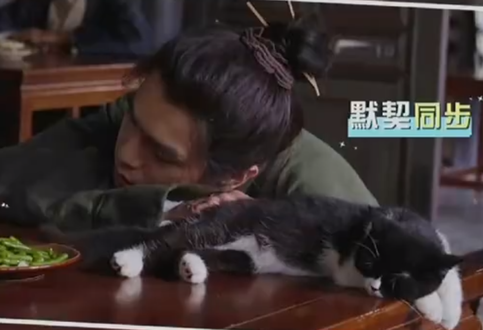 張若昀