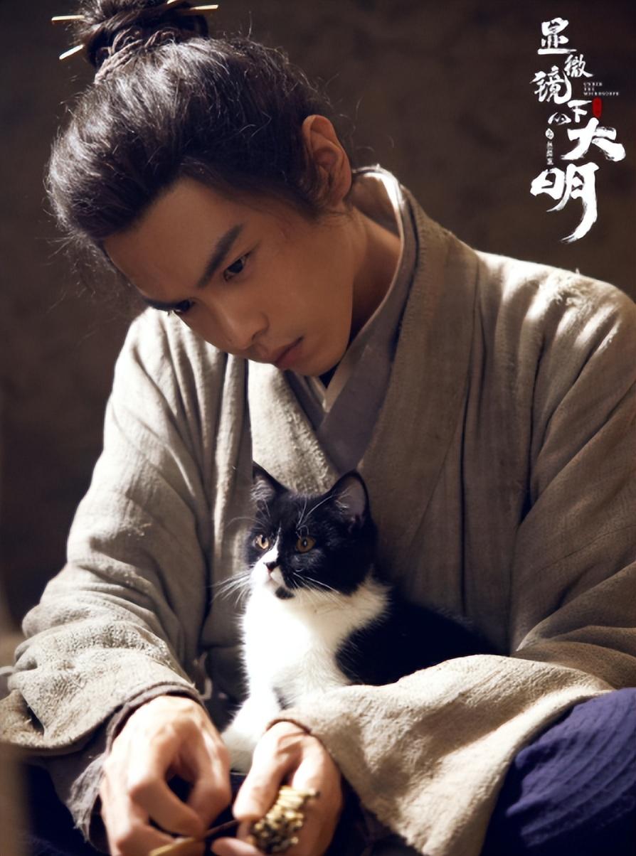 馬伯庸