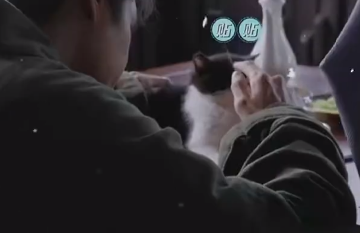 張若昀