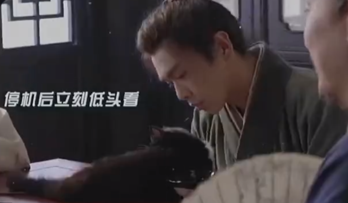 張若昀