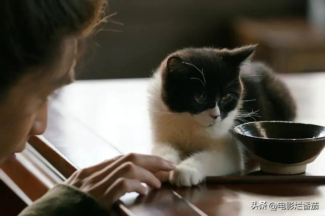 張若昀