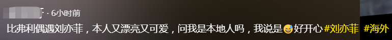 劉亦菲