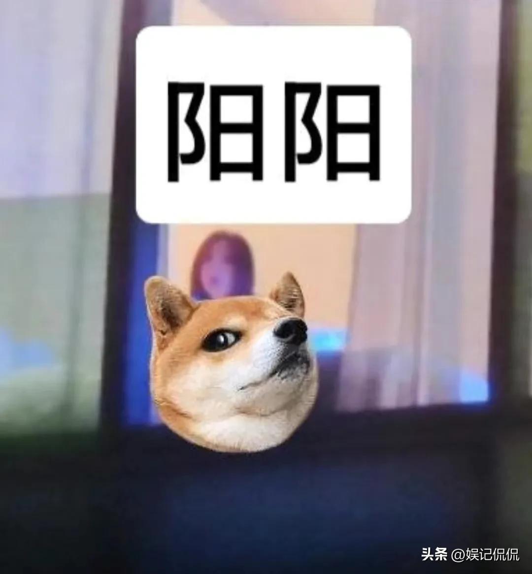 關曉彤