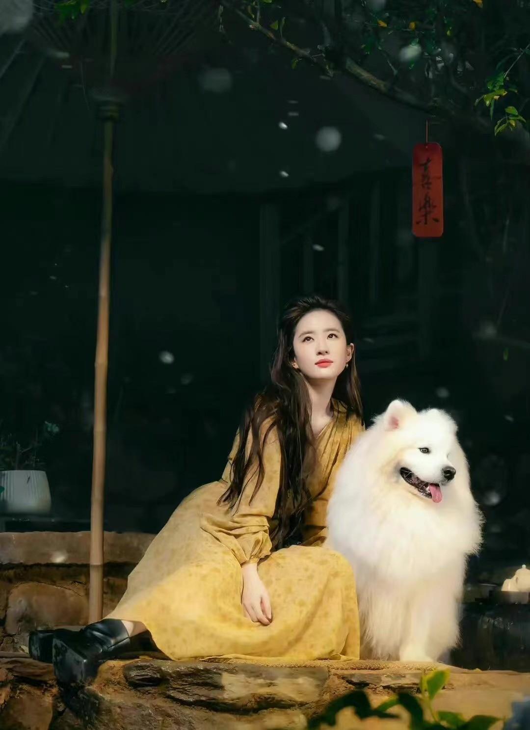 劉亦菲