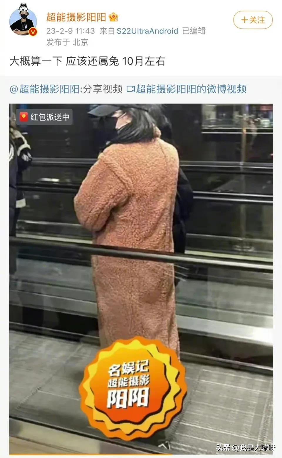 關曉彤