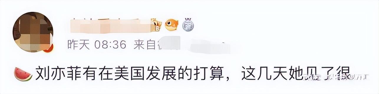 劉亦菲