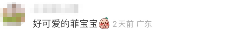 劉亦菲