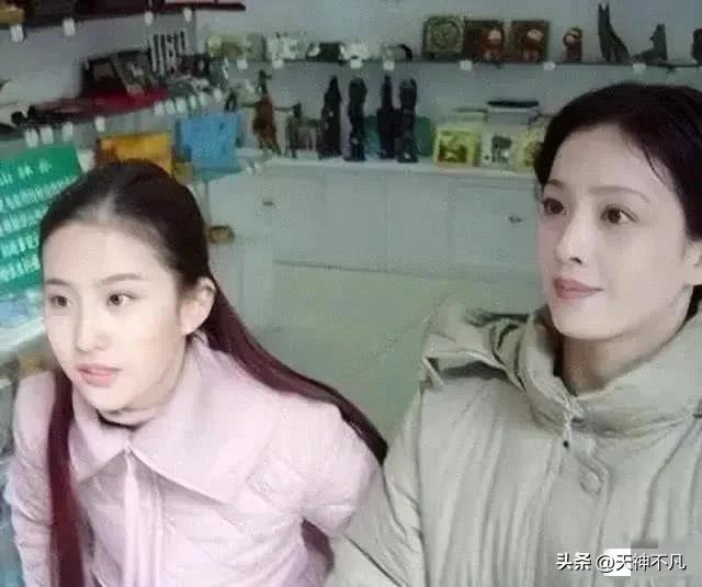 劉亦菲