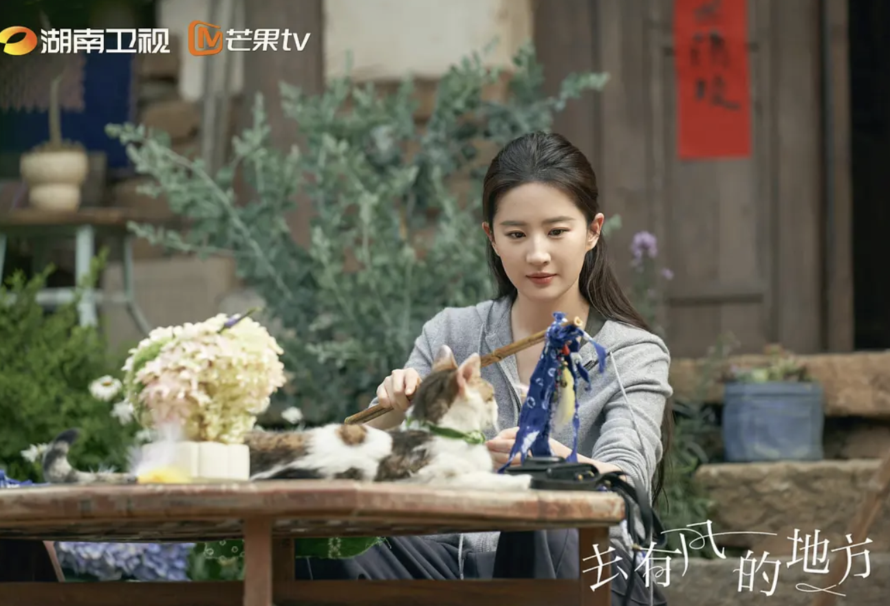 劉亦菲
