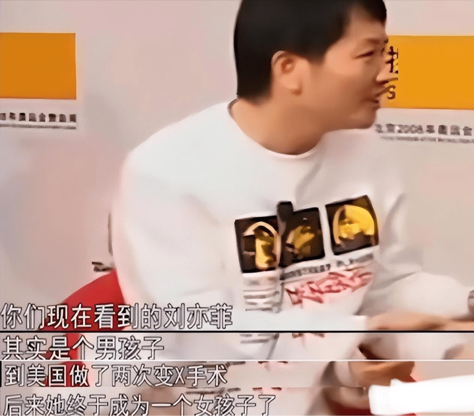 劉亦菲