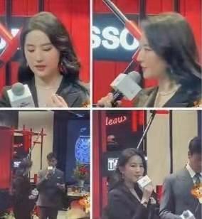 劉亦菲