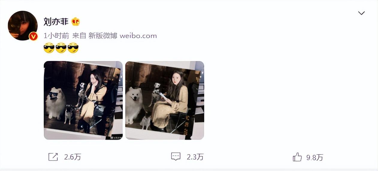劉亦菲