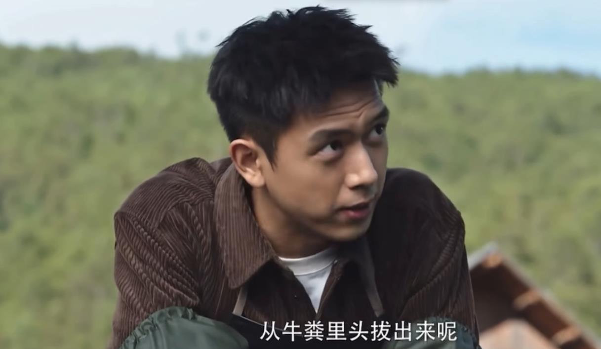 劉亦菲