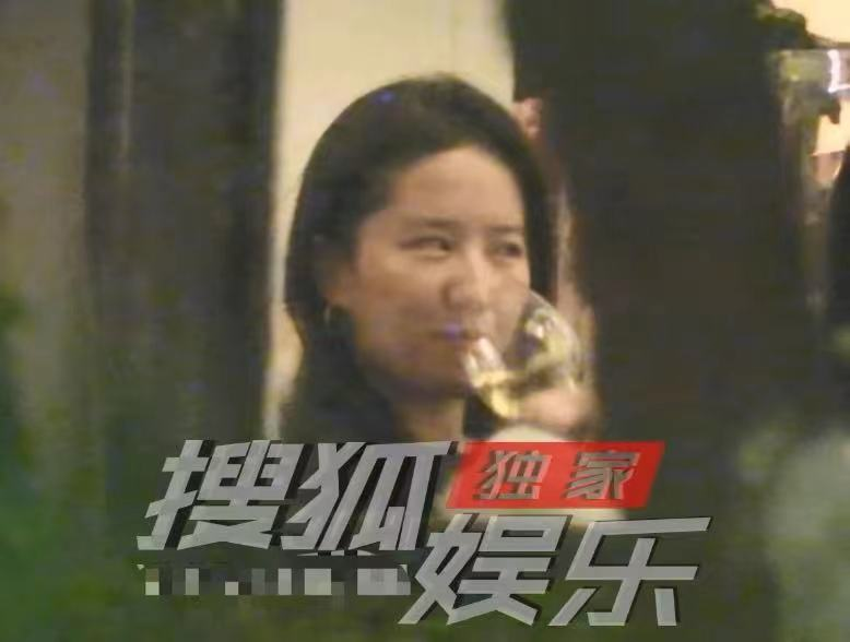 劉亦菲