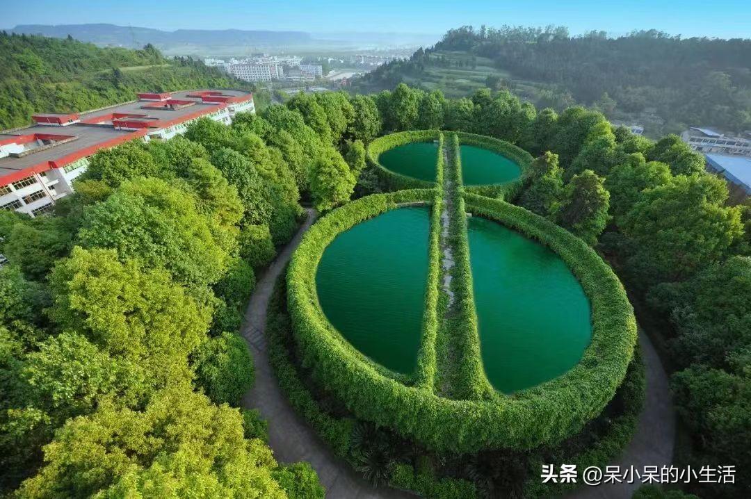 王陽