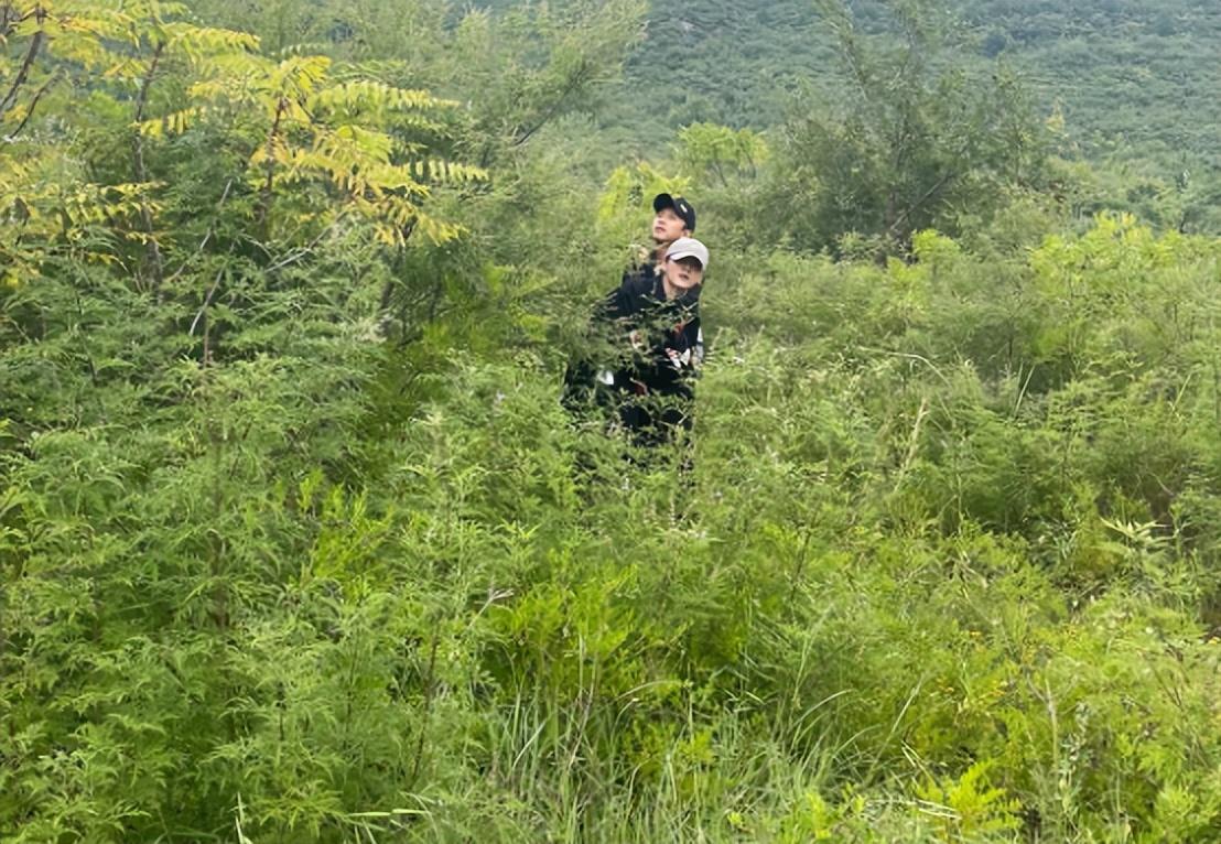 鹿晗