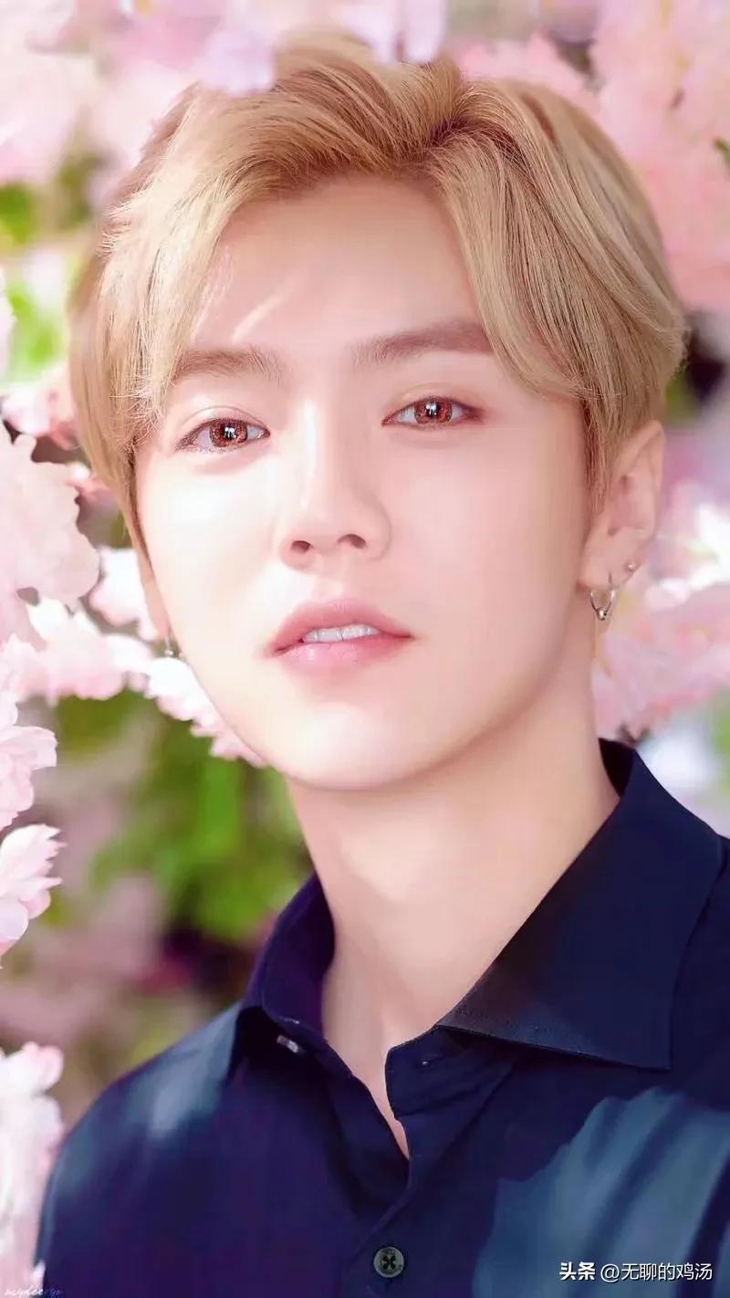 鹿晗