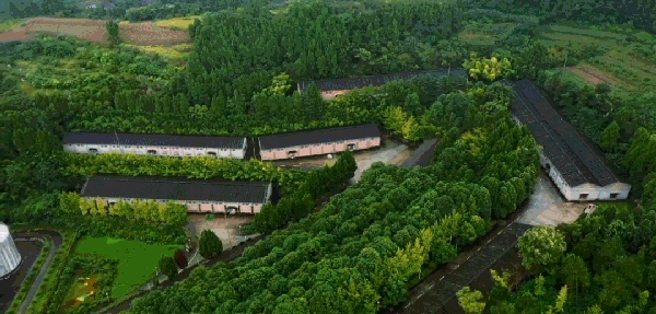 王陽