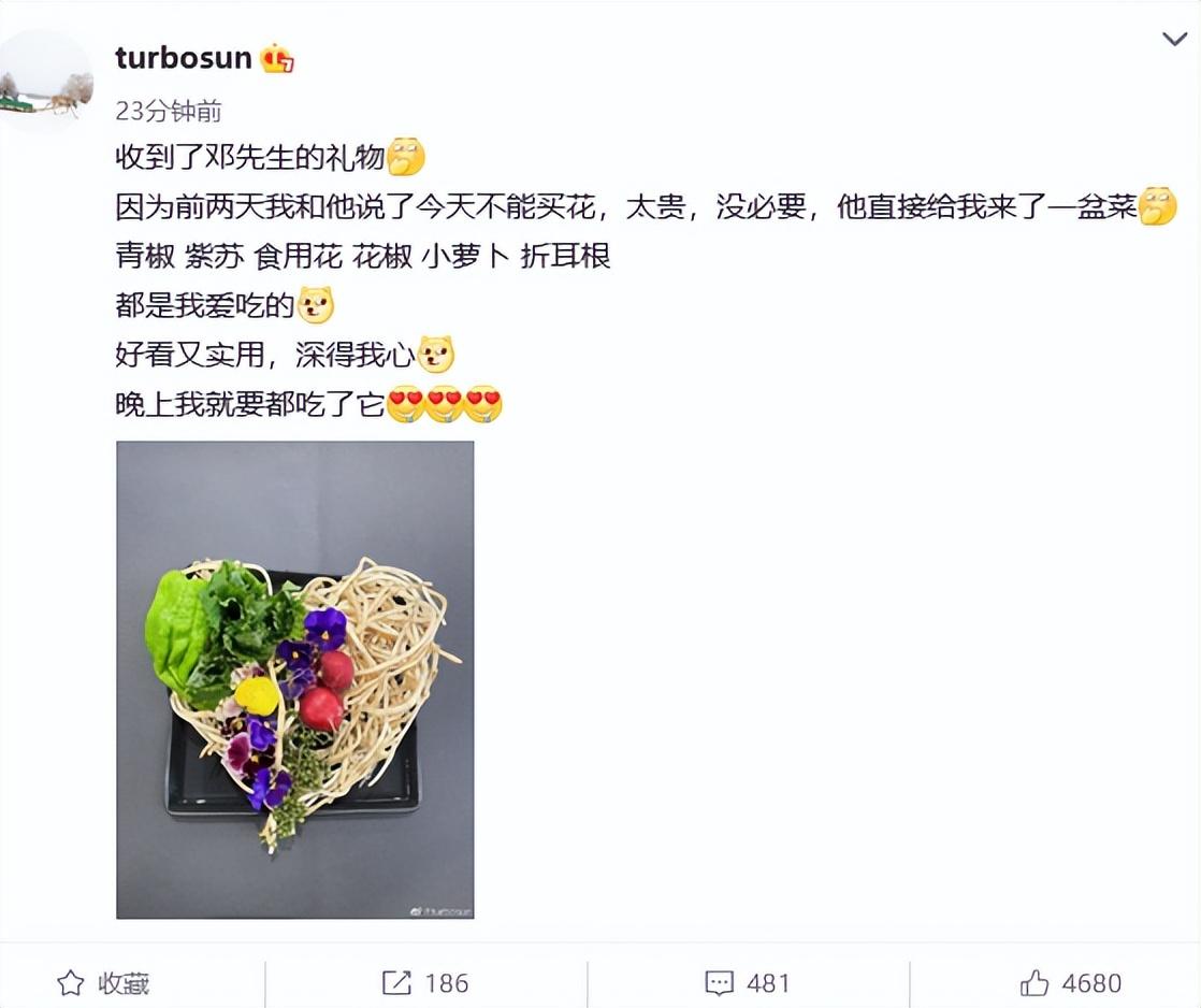 孫儷