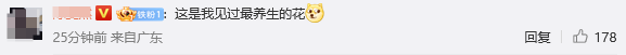 孫儷