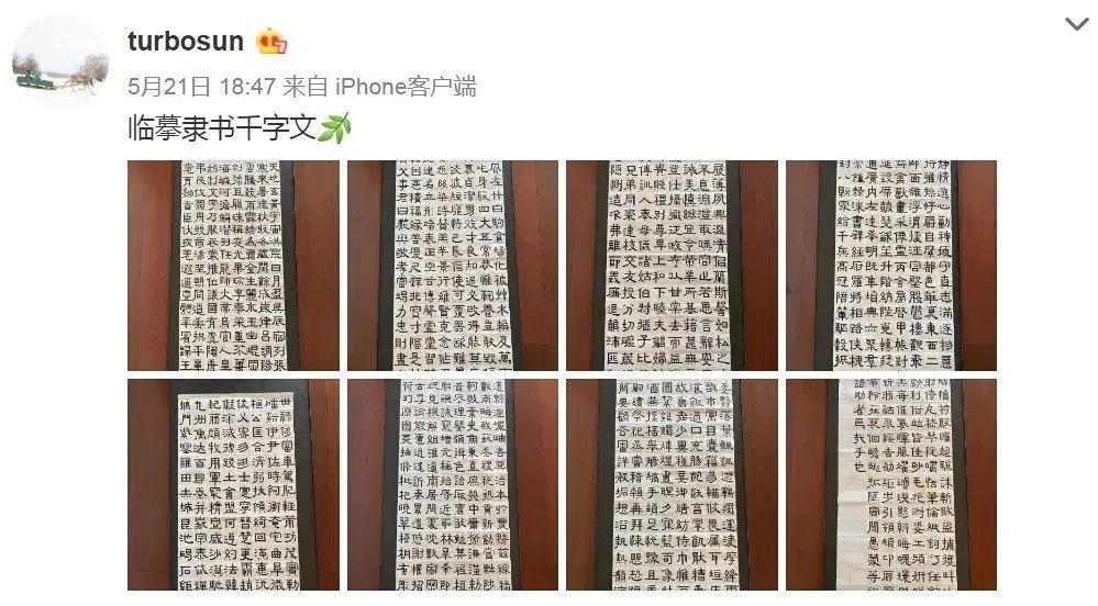 孫儷