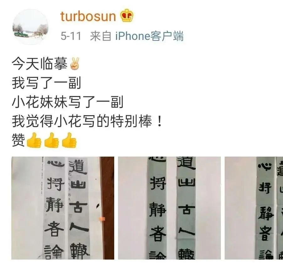 孫儷