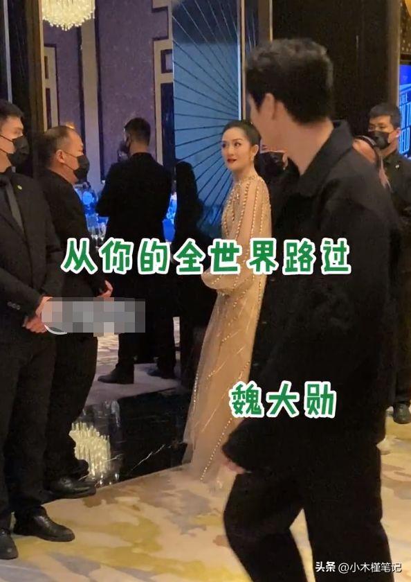 孫儷