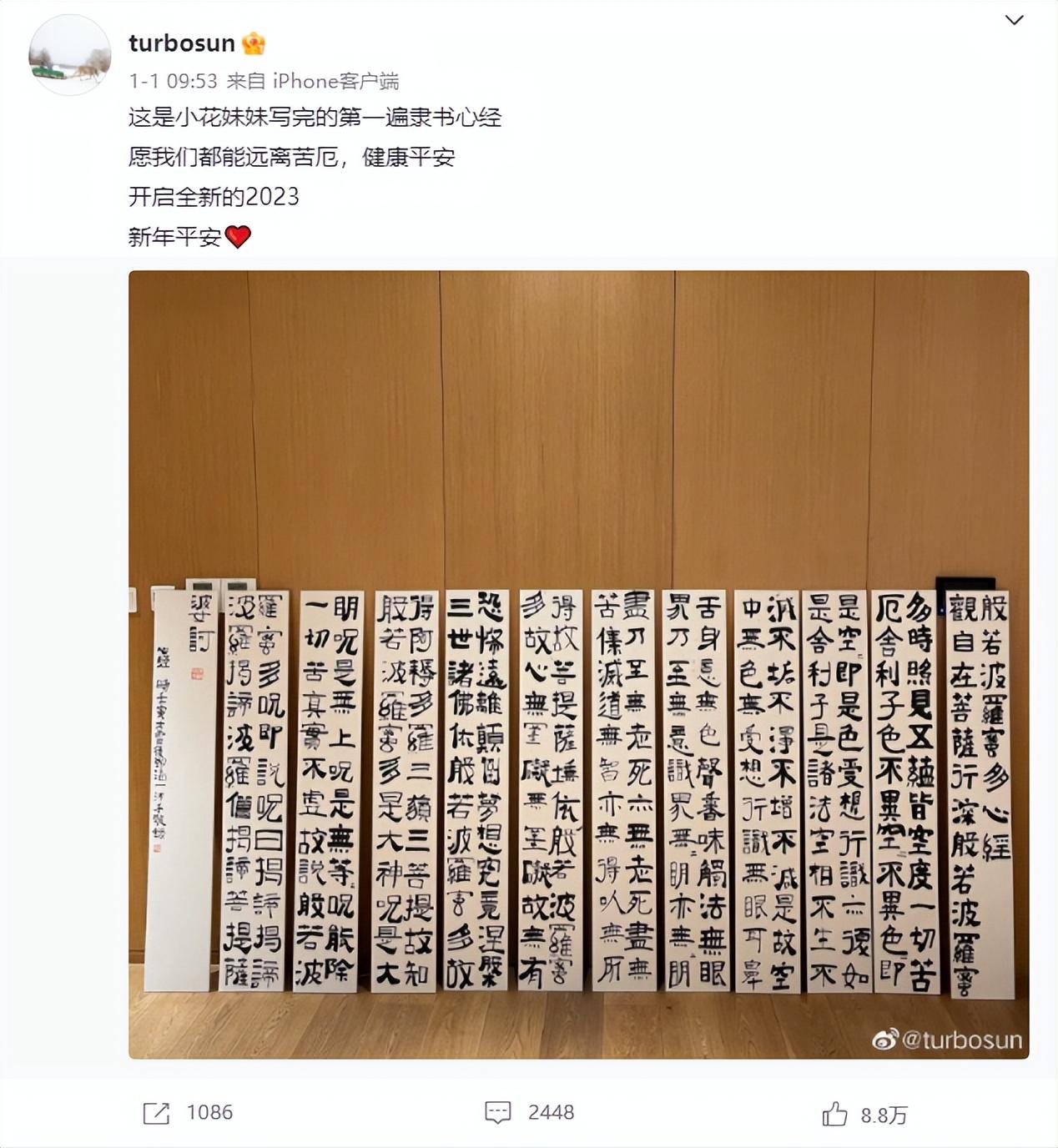 孫儷