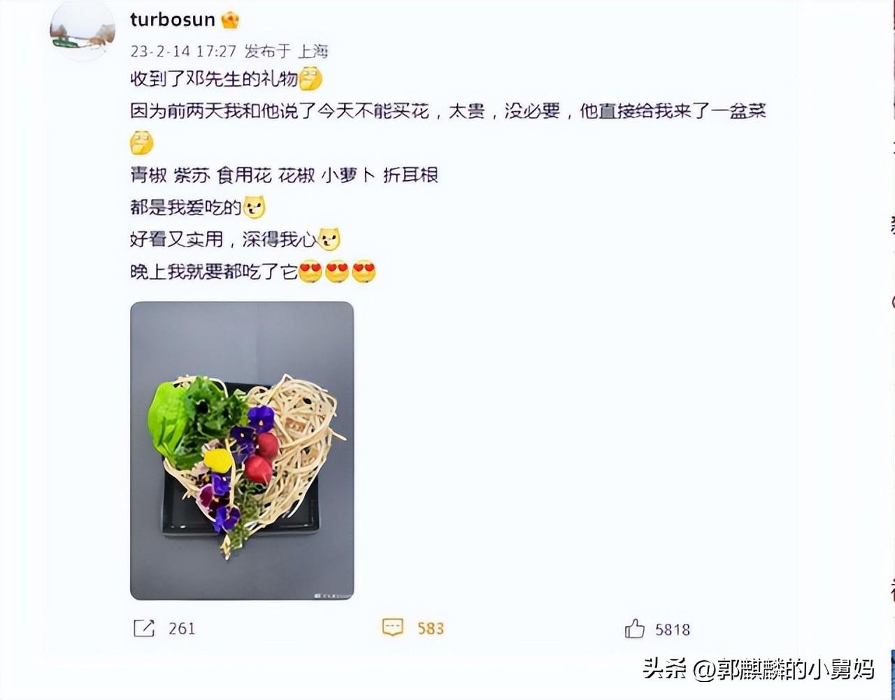 孫儷