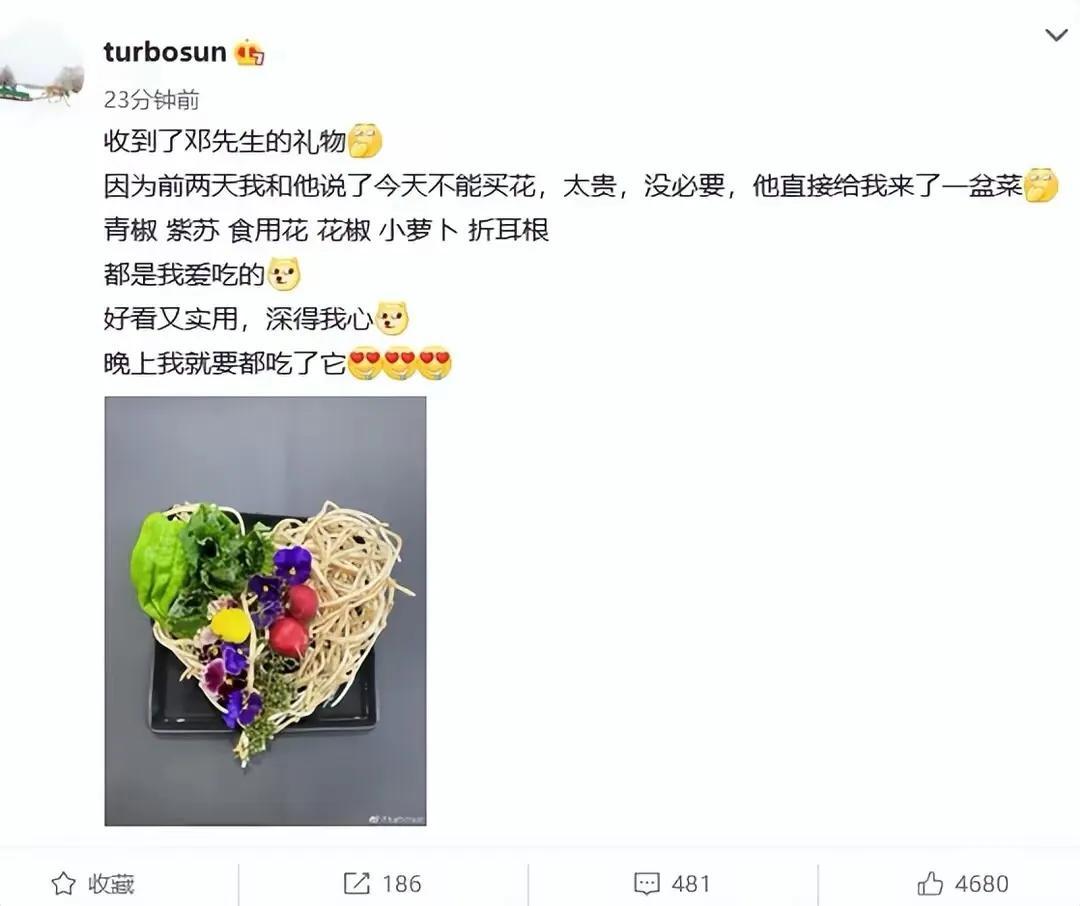 孫儷