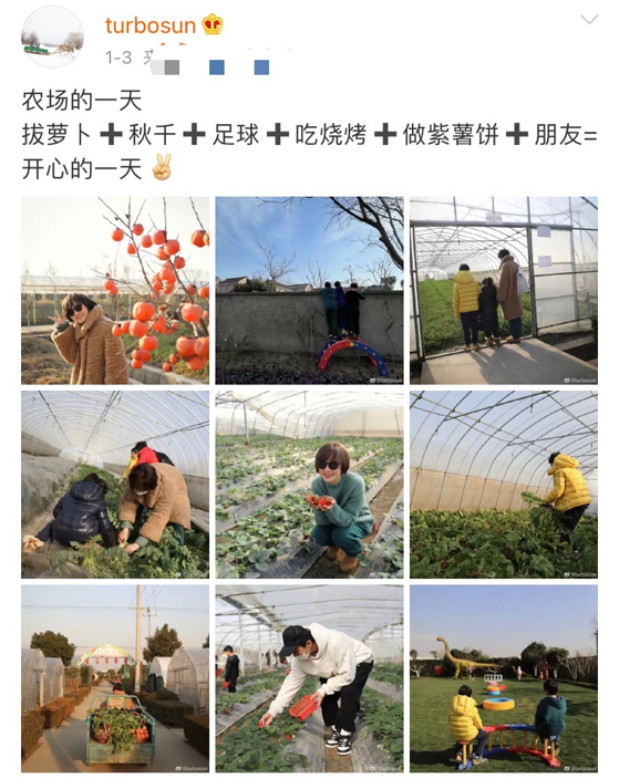 孫儷
