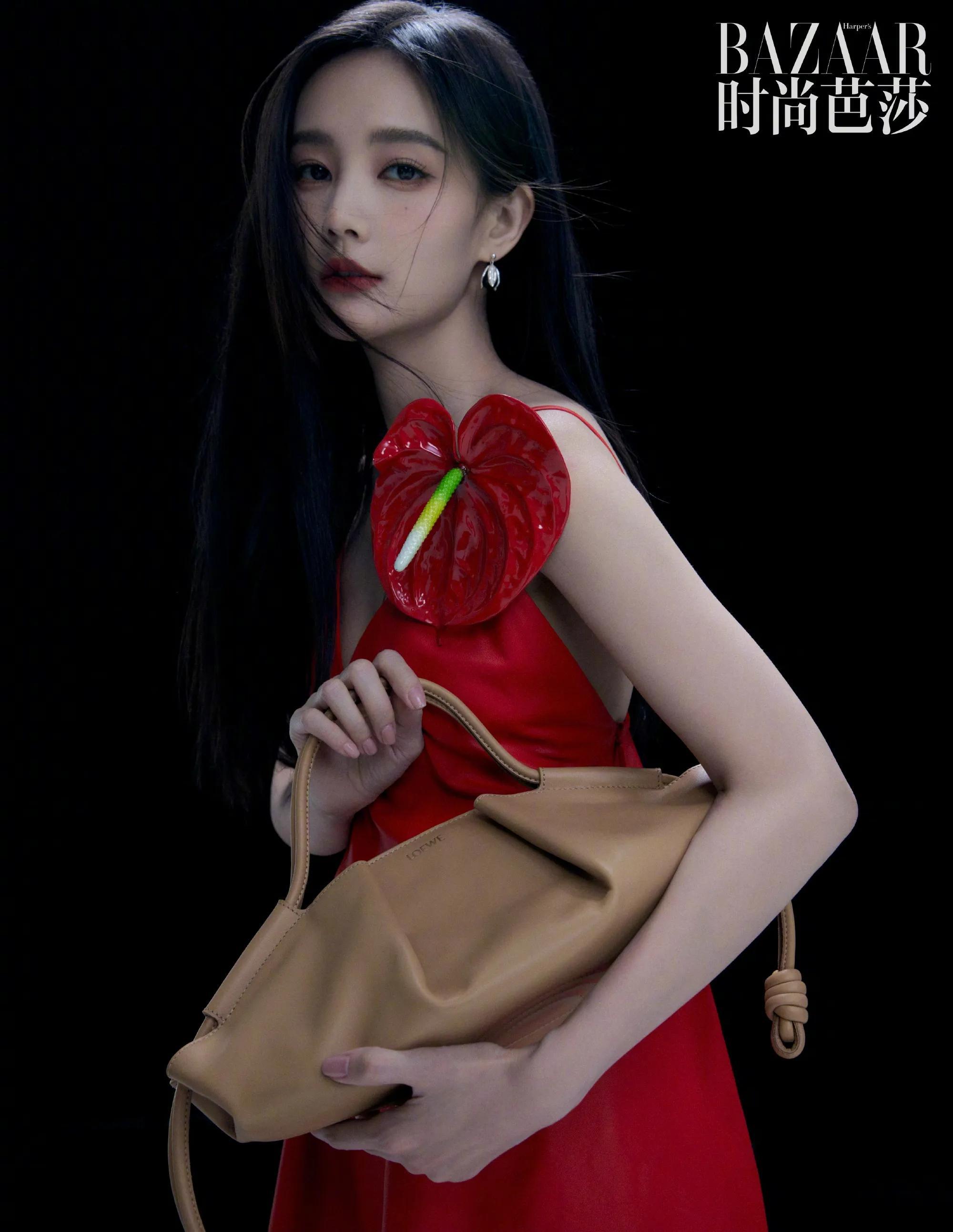 李一桐