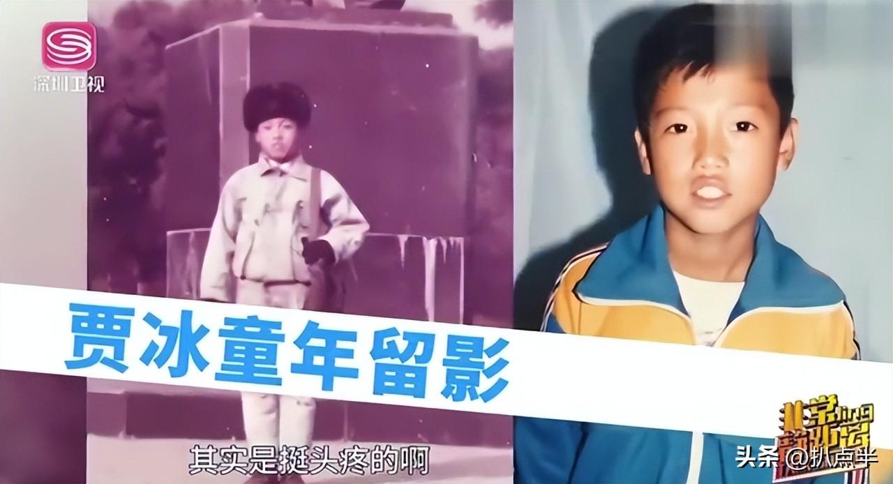 賈冰