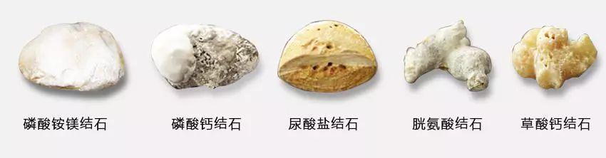 吳剛